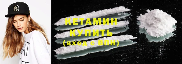 шишки Белокуриха