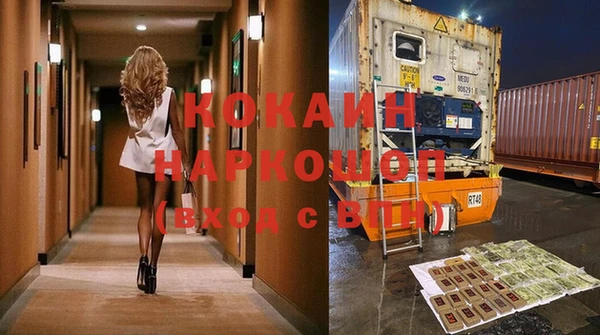 шишки Белокуриха