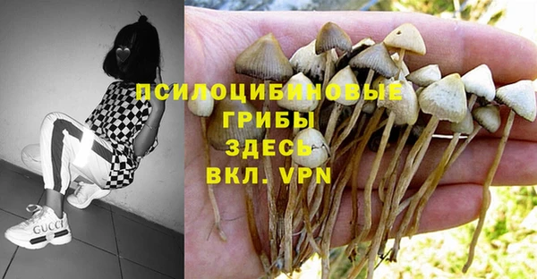 apvp Белоозёрский