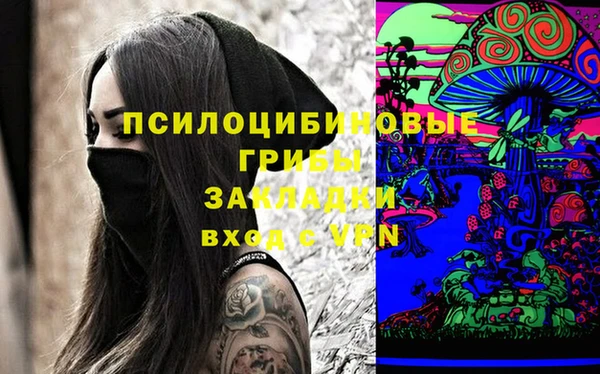 шишки Белокуриха