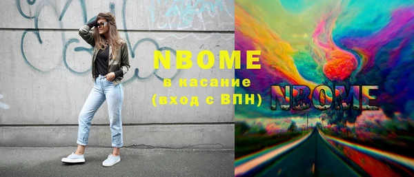 шишки Белокуриха