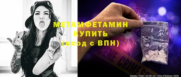 шишки Белокуриха