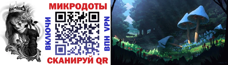 цена наркотик  Балей  Галлюциногенные грибы Cubensis 
